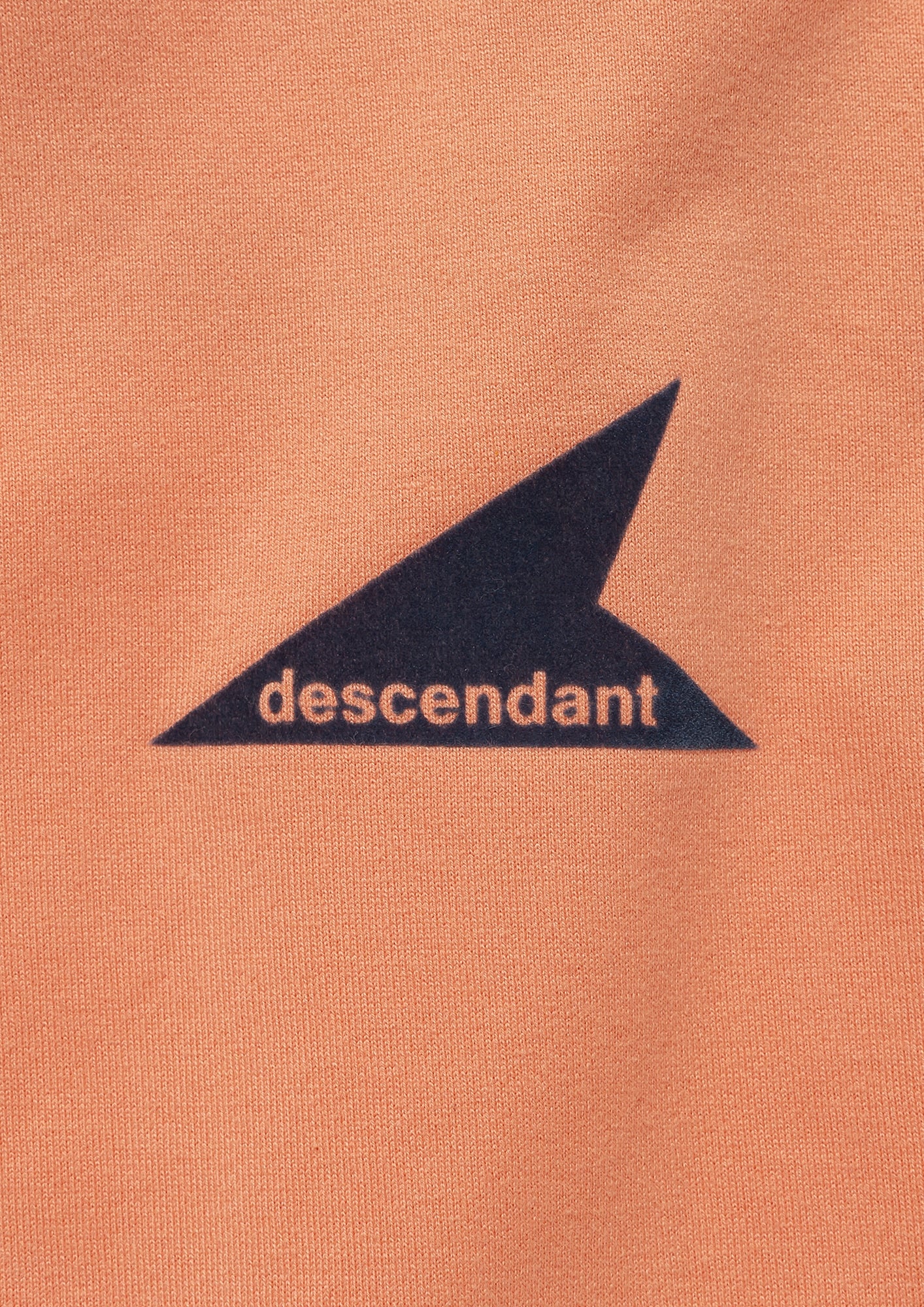 CETUS JERSEY LS – DESCENDANT