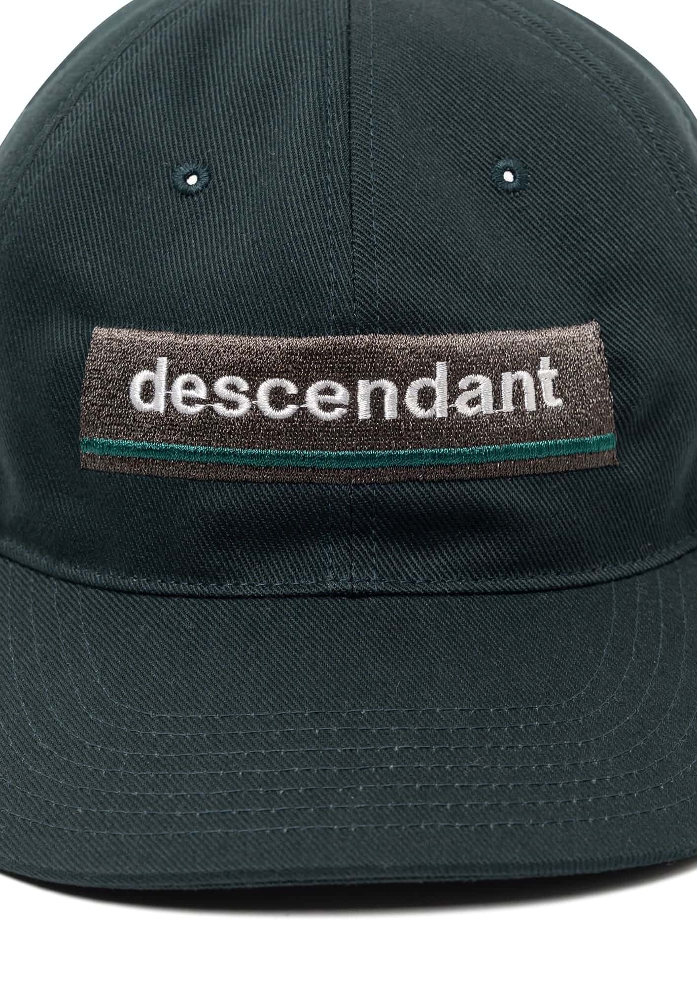 HORIZON 6PANEL – DESCENDANT