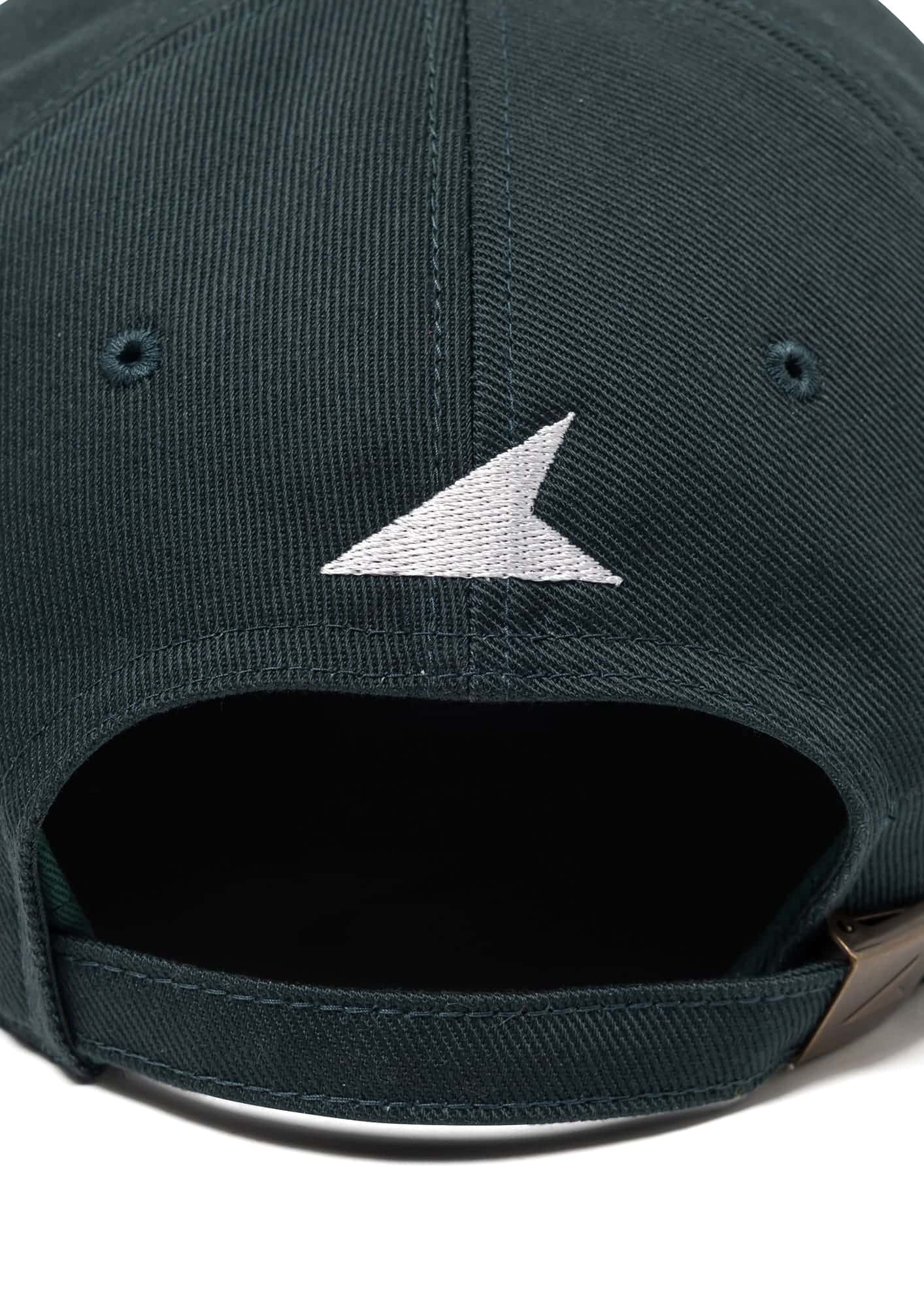 HORIZON 6PANEL – DESCENDANT