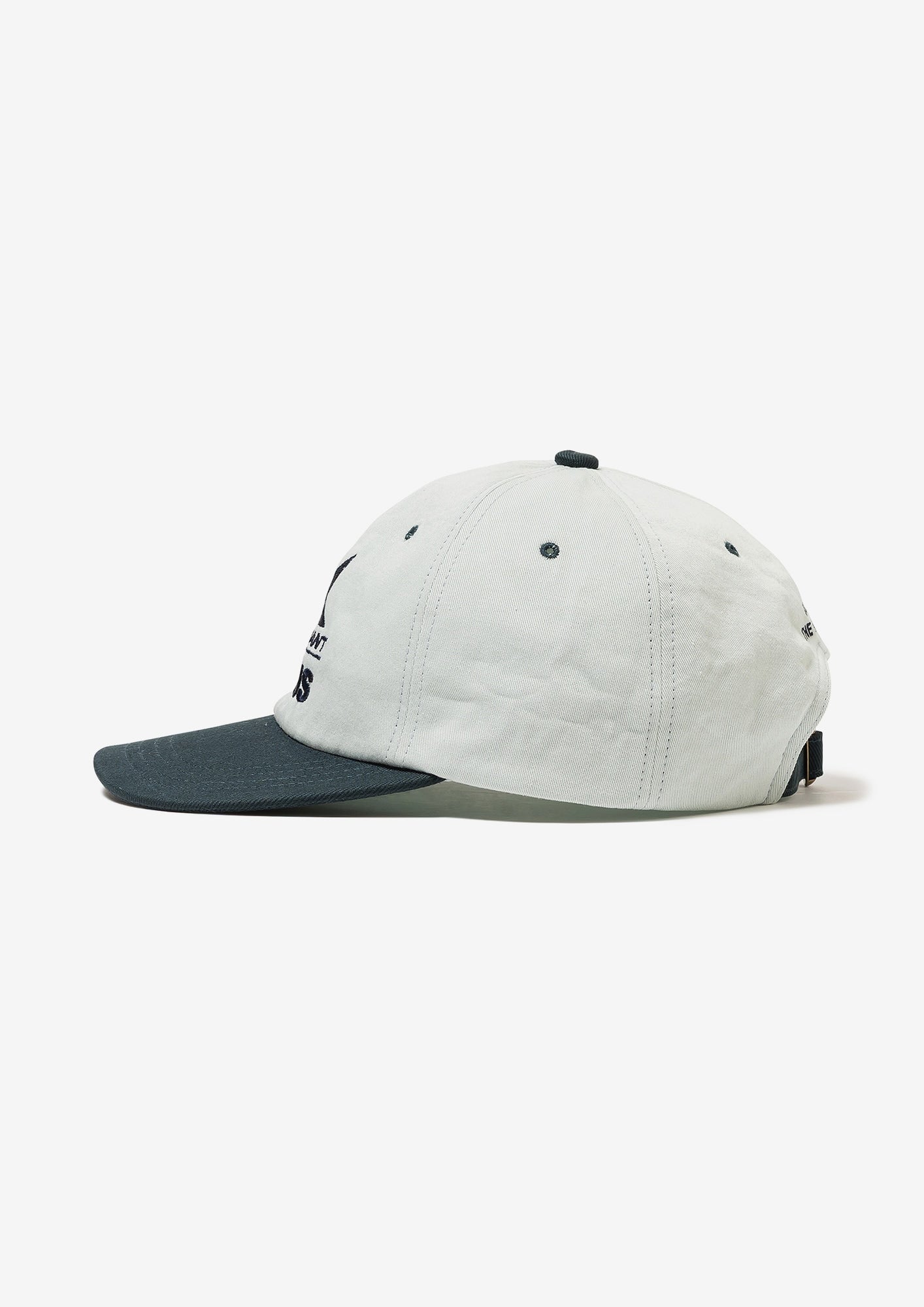 CETUS 6PANEL – DESCENDANT
