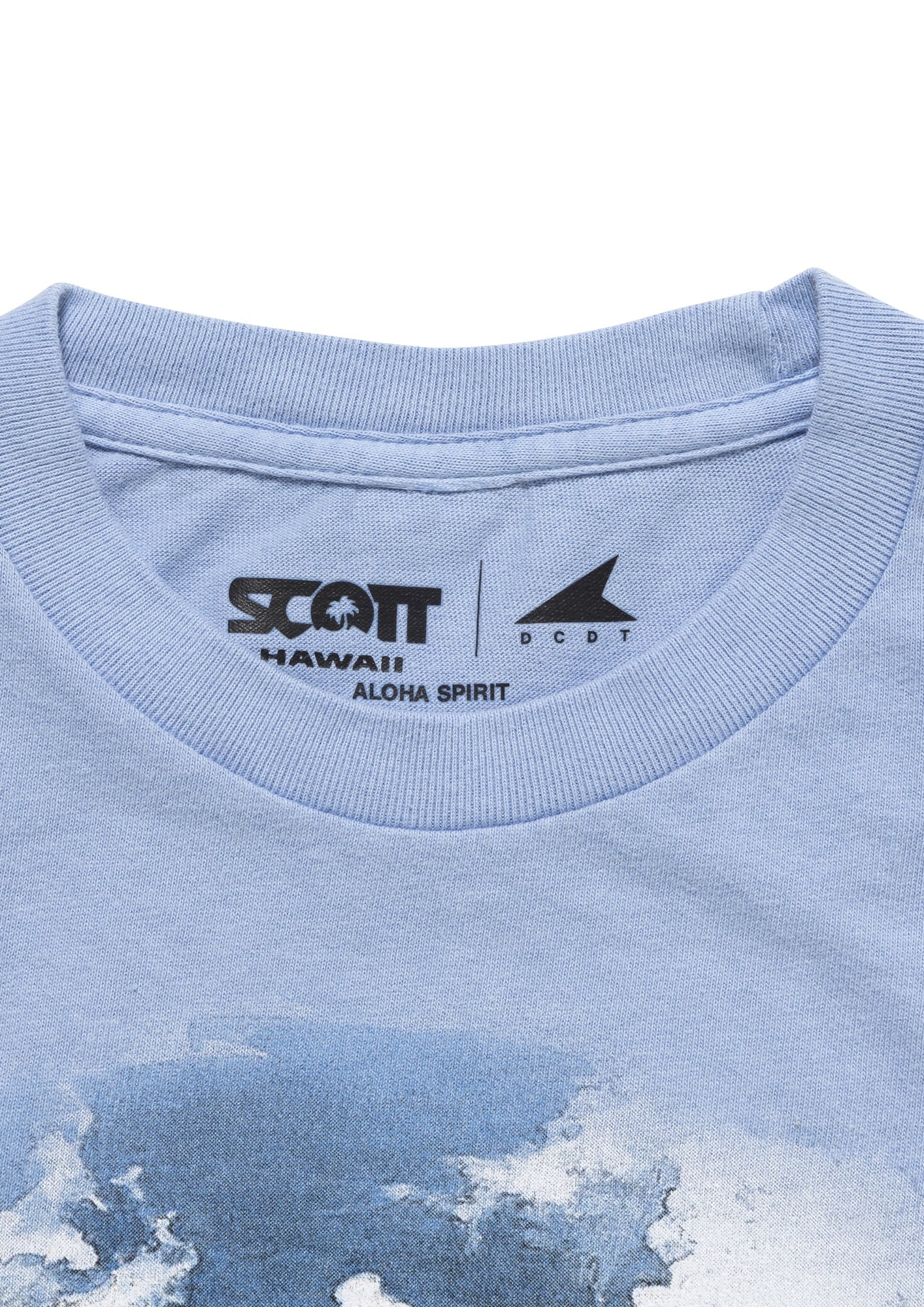 EDST SS PIGMENT DYE SCOTT HAWAII (KIDS) – DESCENDANT