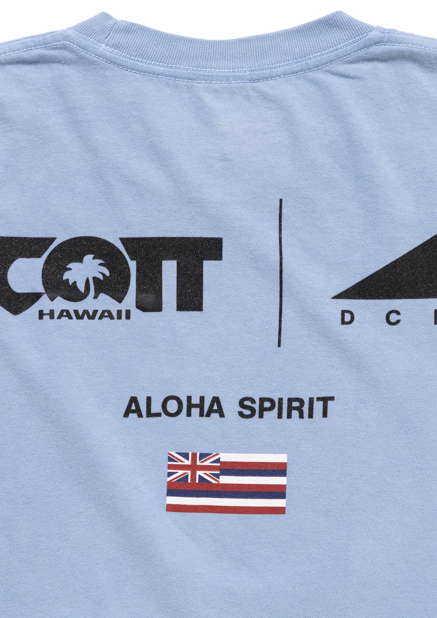 EDST SS PIGMENT DYE SCOTT HAWAII (KIDS) – DESCENDANT
