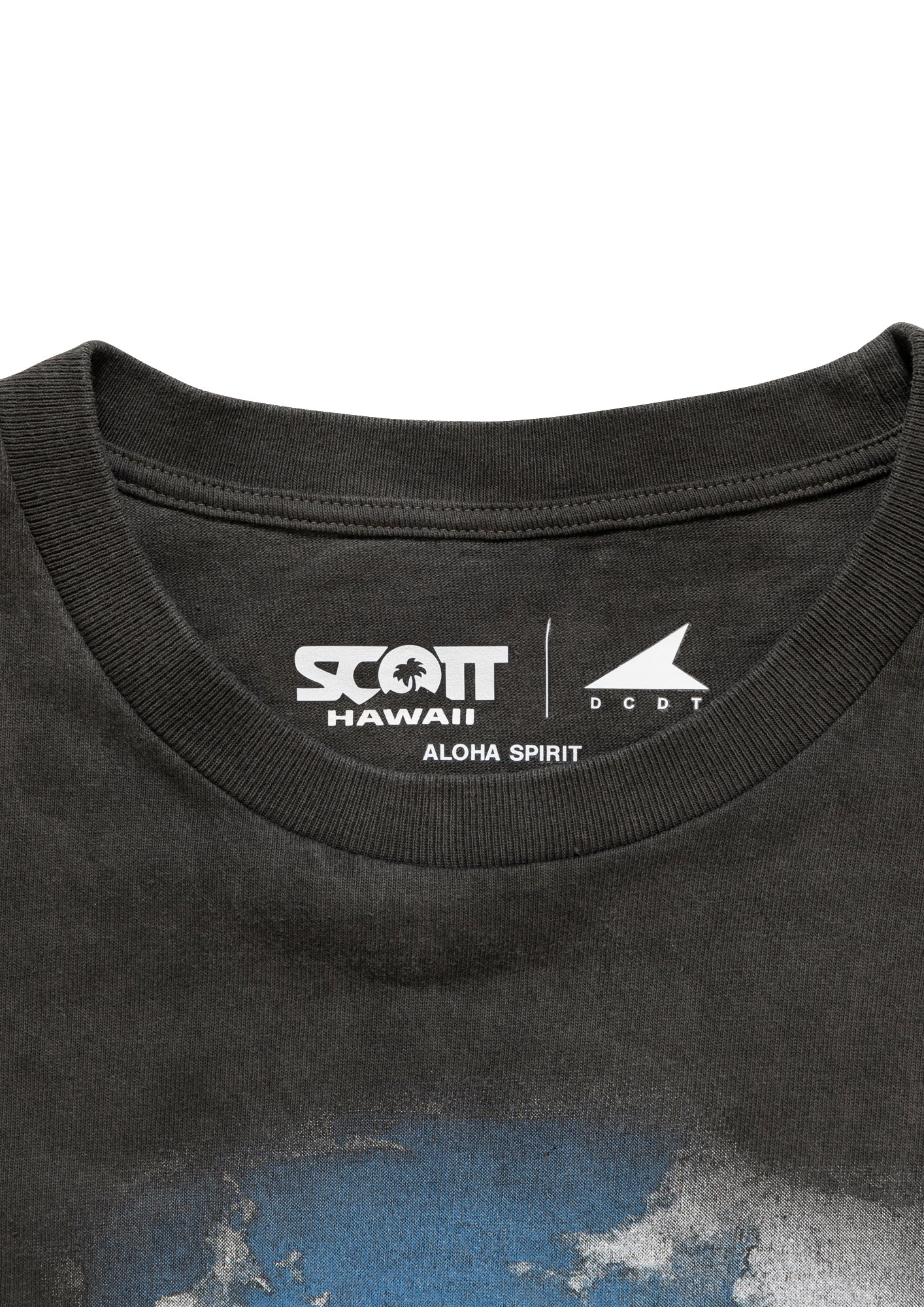 EDST SS PIGMENT DYE SCOTT HAWAII – DESCENDANT