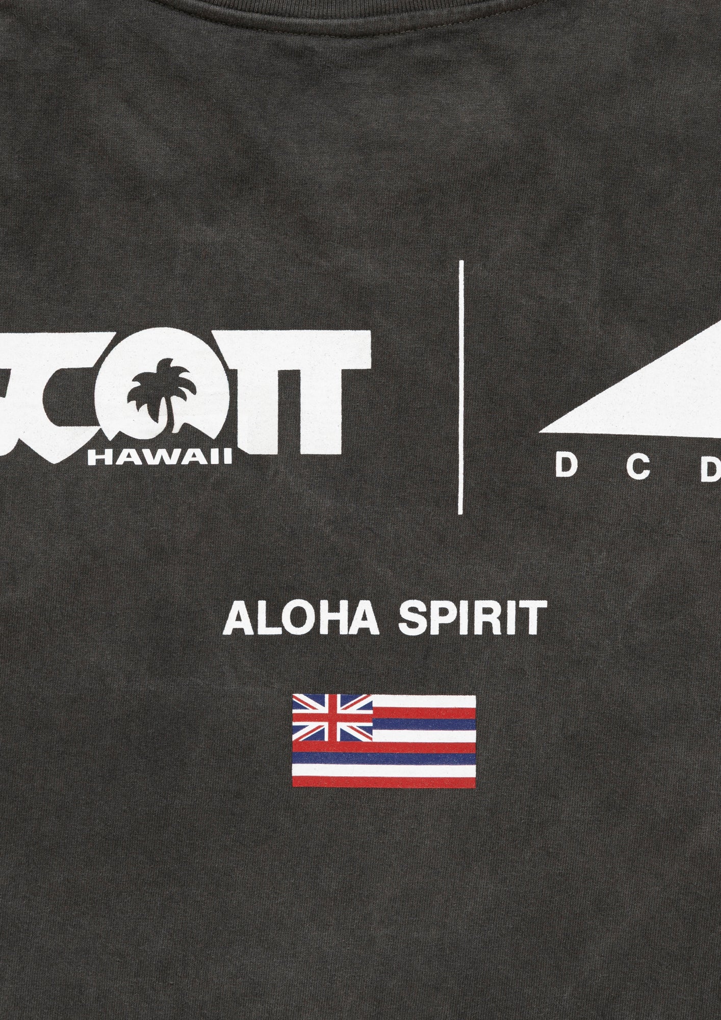 EDST SS PIGMENT DYE SCOTT HAWAII – DESCENDANT