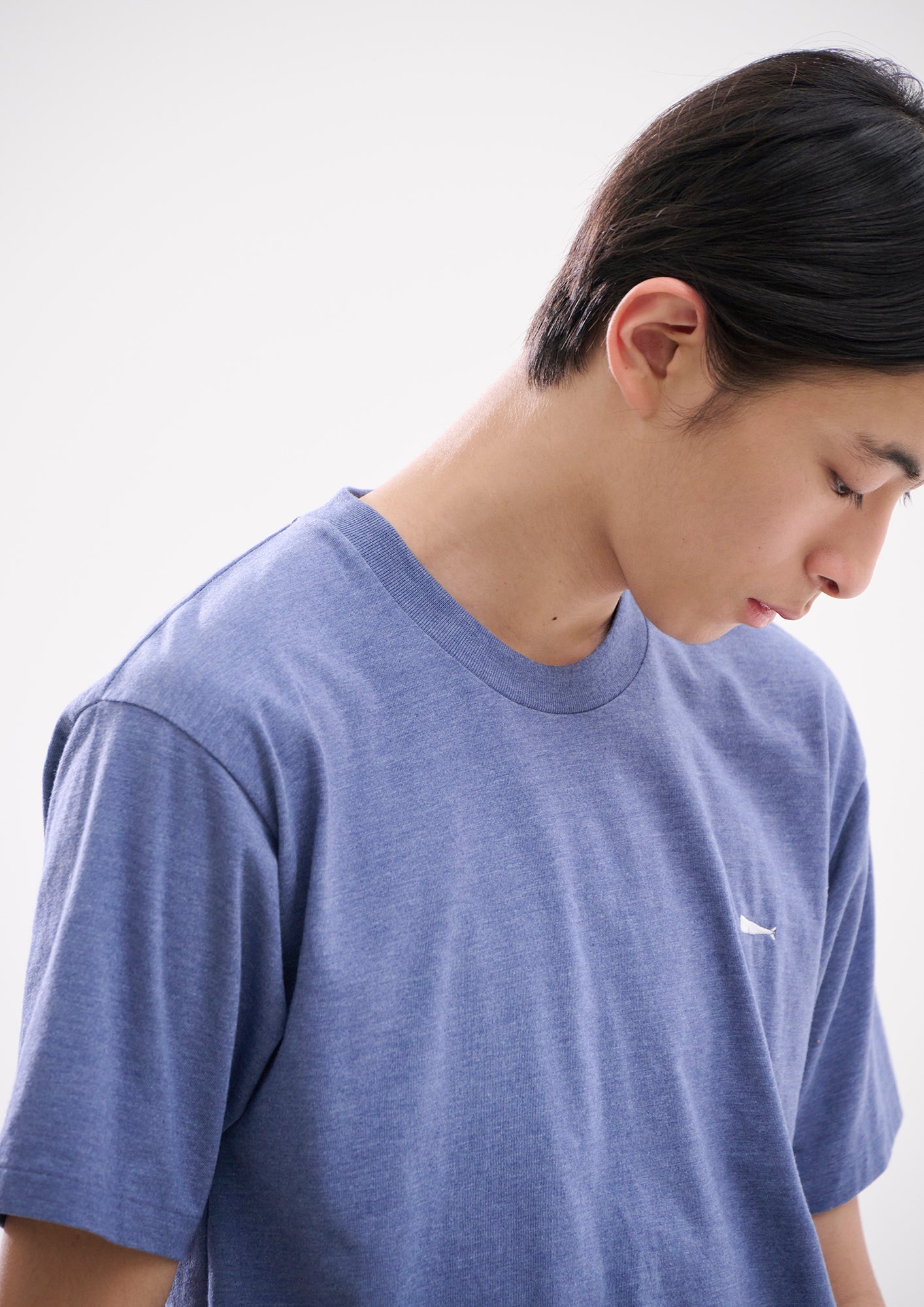 CACHALOT SS – DESCENDANT