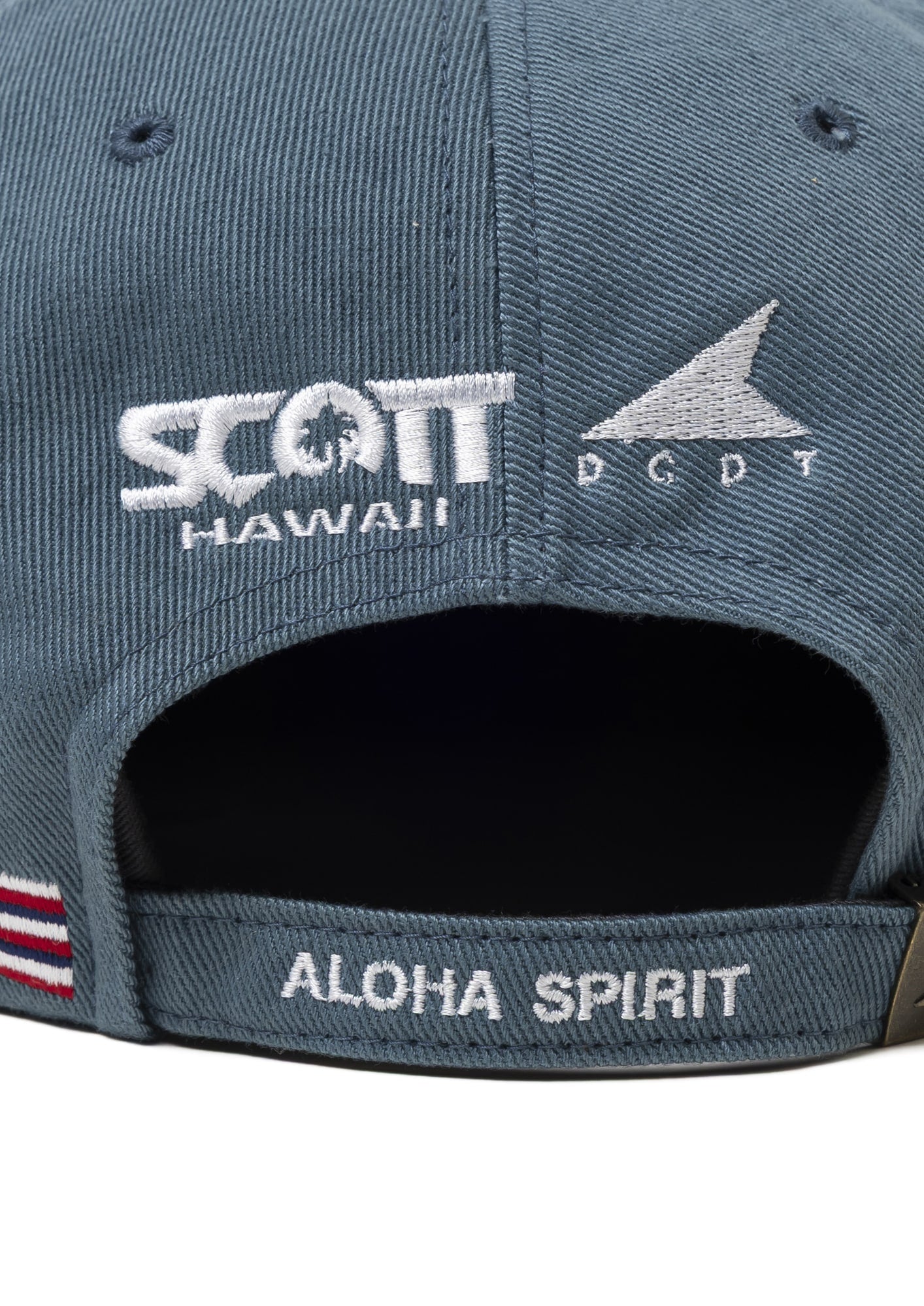 FLUKE UP 6PANEL SCOTT HAWAII – DESCENDANT