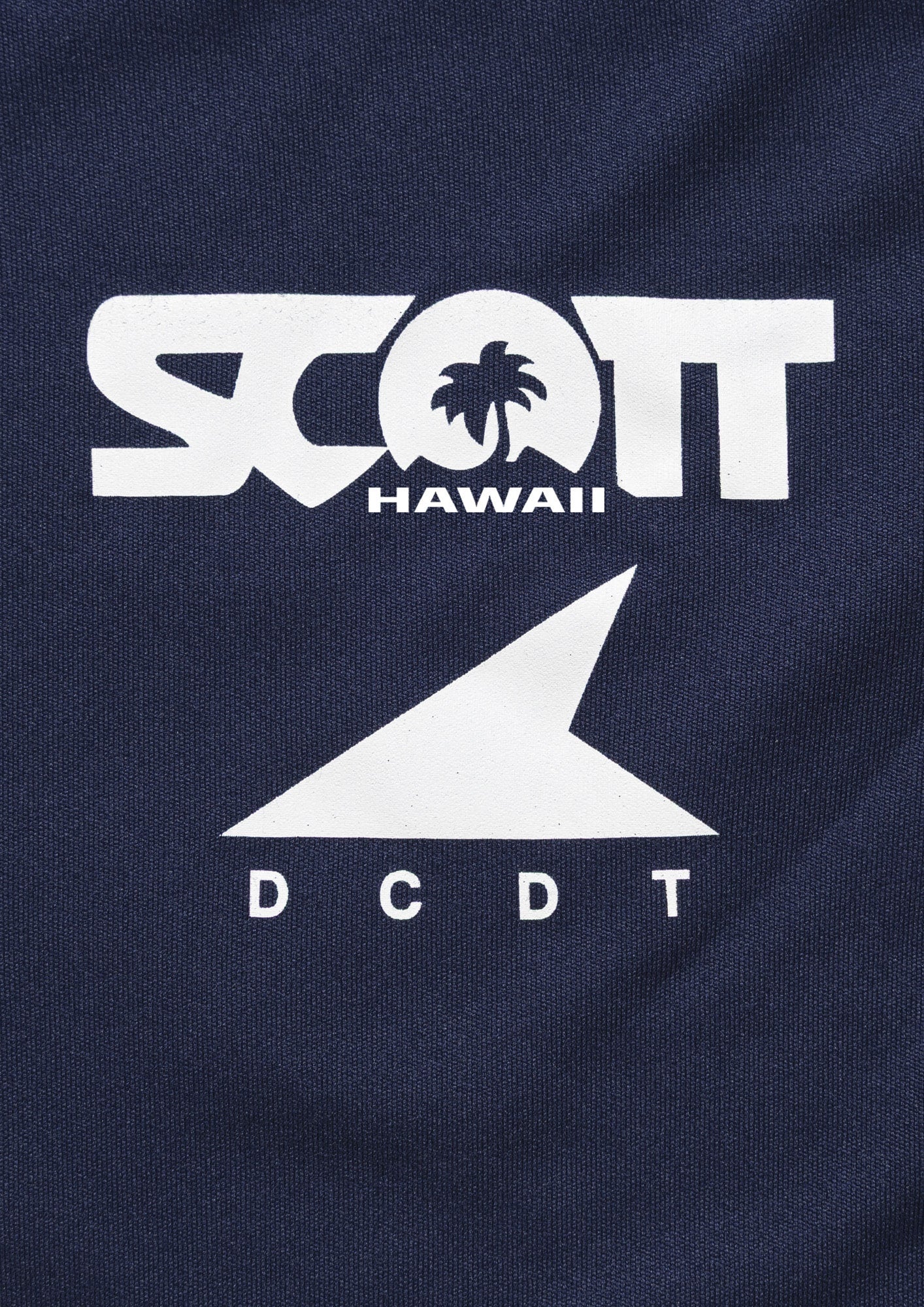 FLUKE UP RUSHGUARD LS SCOTT HAWAII (KIDS) – DESCENDANT