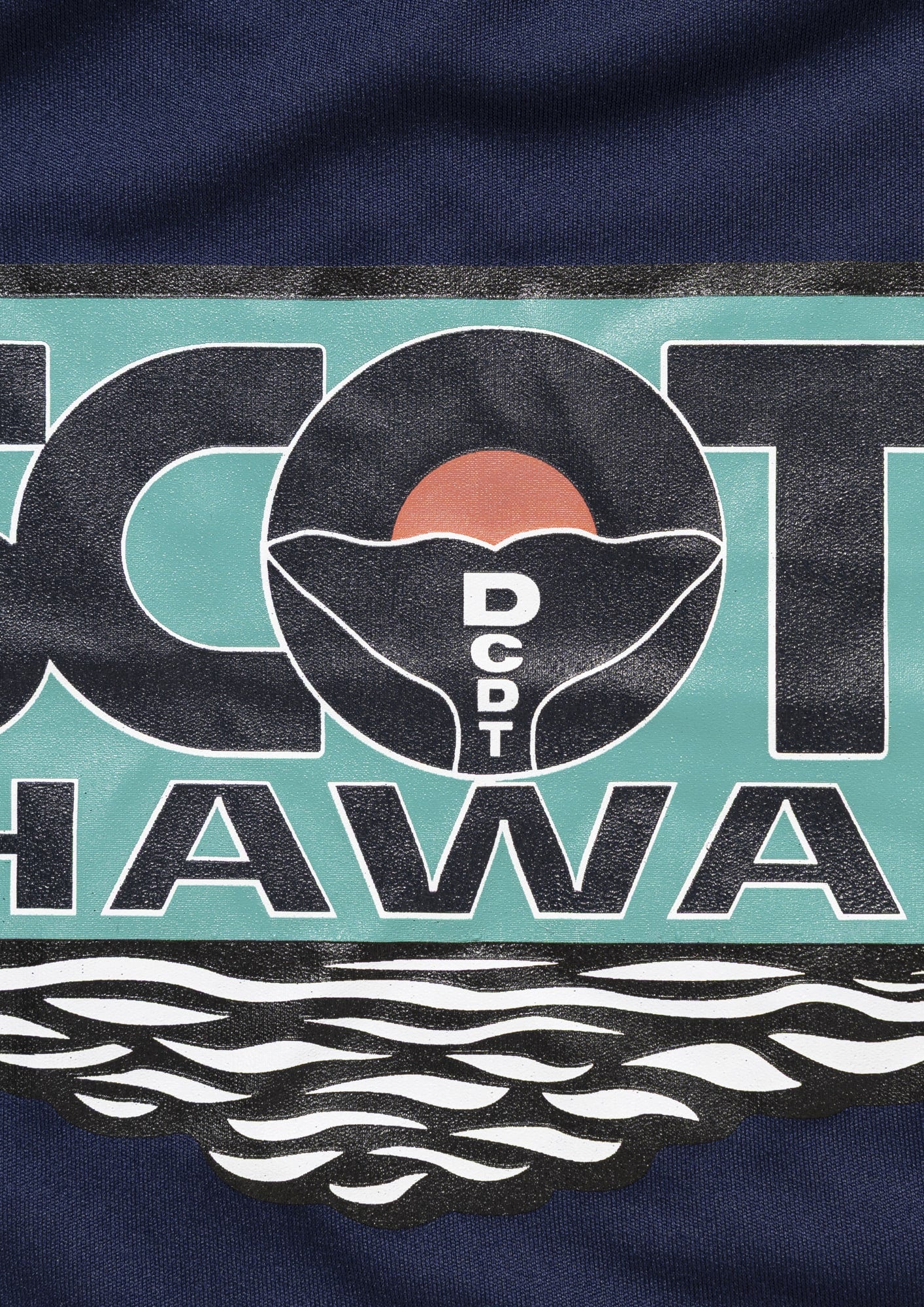 FLUKE UP RUSHGUARD LS SCOTT HAWAII (KIDS) – DESCENDANT
