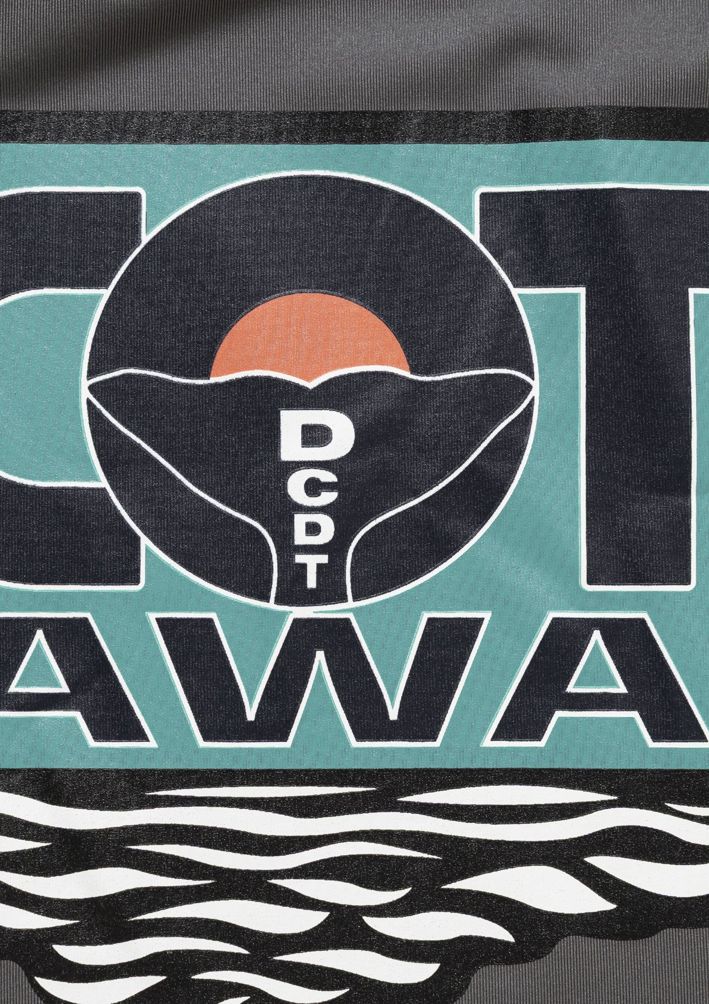 FLUKE UP RUSHGUARD LS SCOTT HAWAII – DESCENDANT