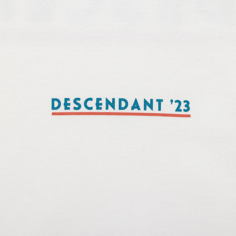 FDTD SS – DESCENDANT